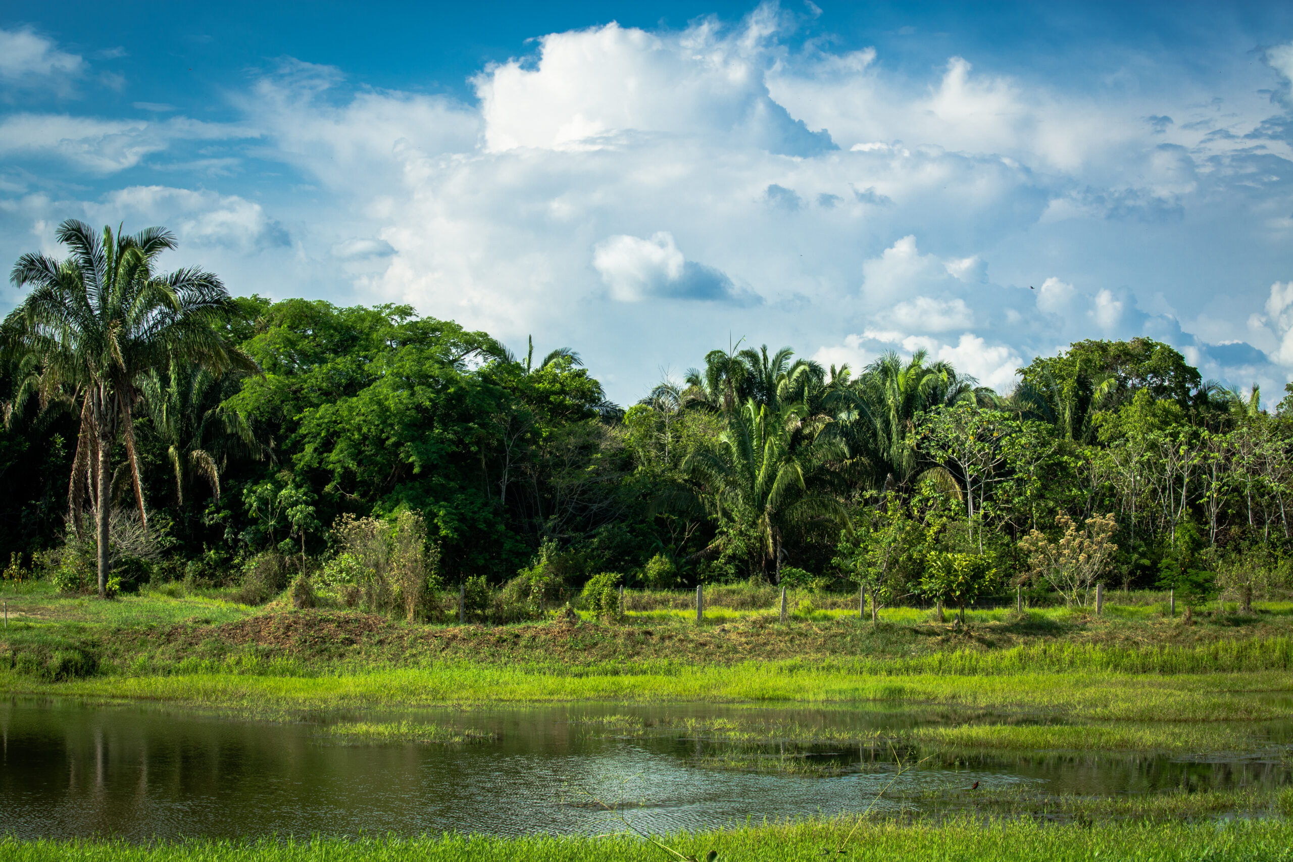 Adaptación al cambio climático